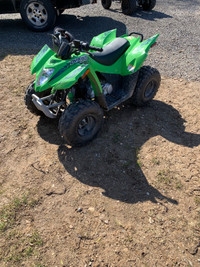  2019 Arctic cat DVX 90