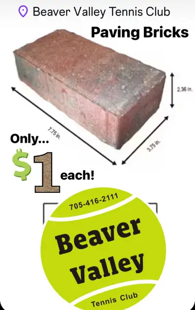 •Driveway Paver Stones or Walkway Stone !!  ONLY $1 each! •, View more