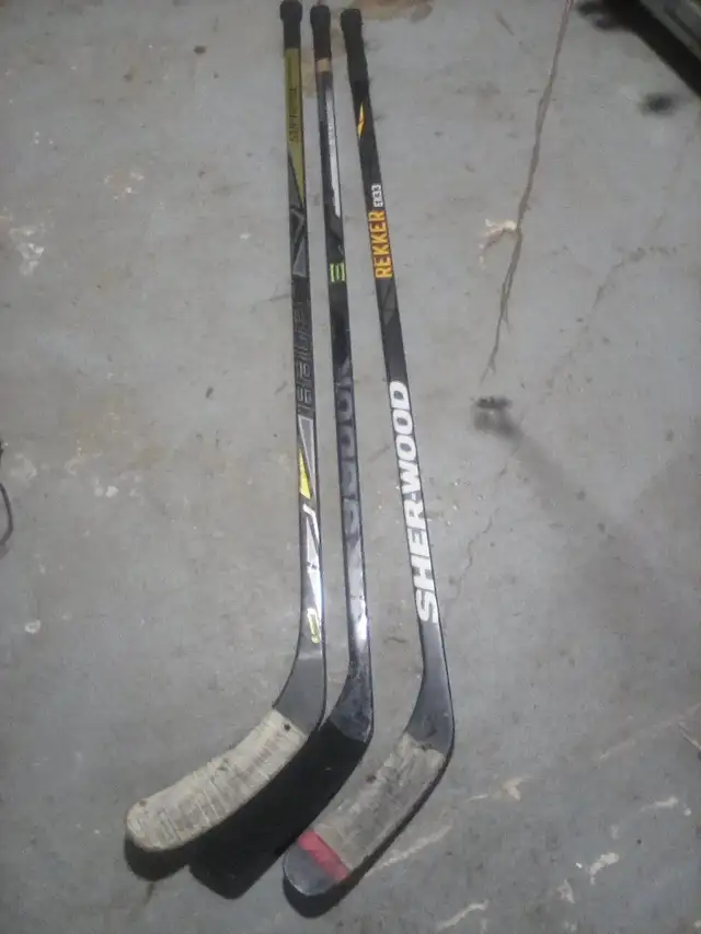 MOVING SALE ! bike exercises trainer\hockey sticks\kids pylons! in Frames & Parts in Ottawa - Image 4
