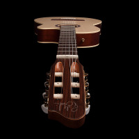 Handmade Godin Electric Classical Acoustic Guitar Areana CW QIT