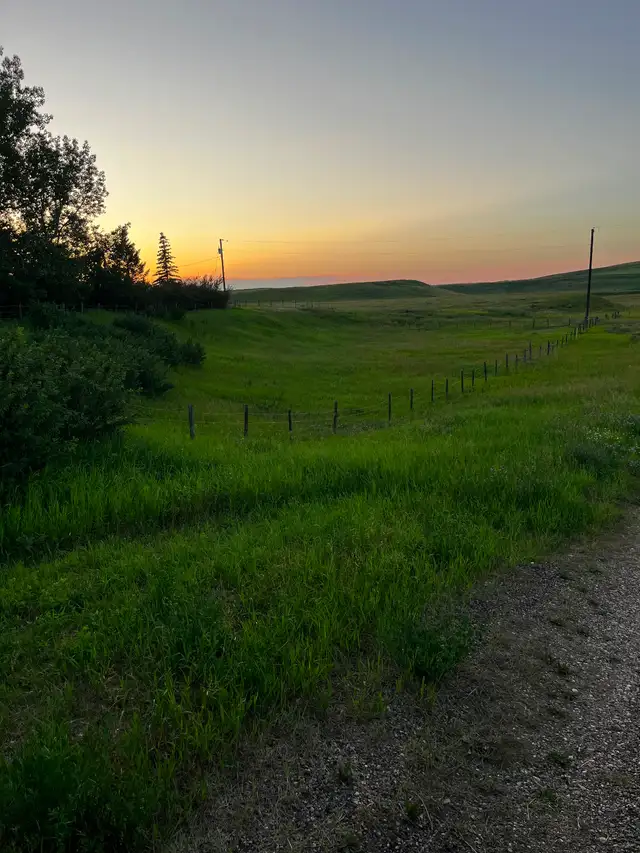Acreage/ lot for rent  off grid living