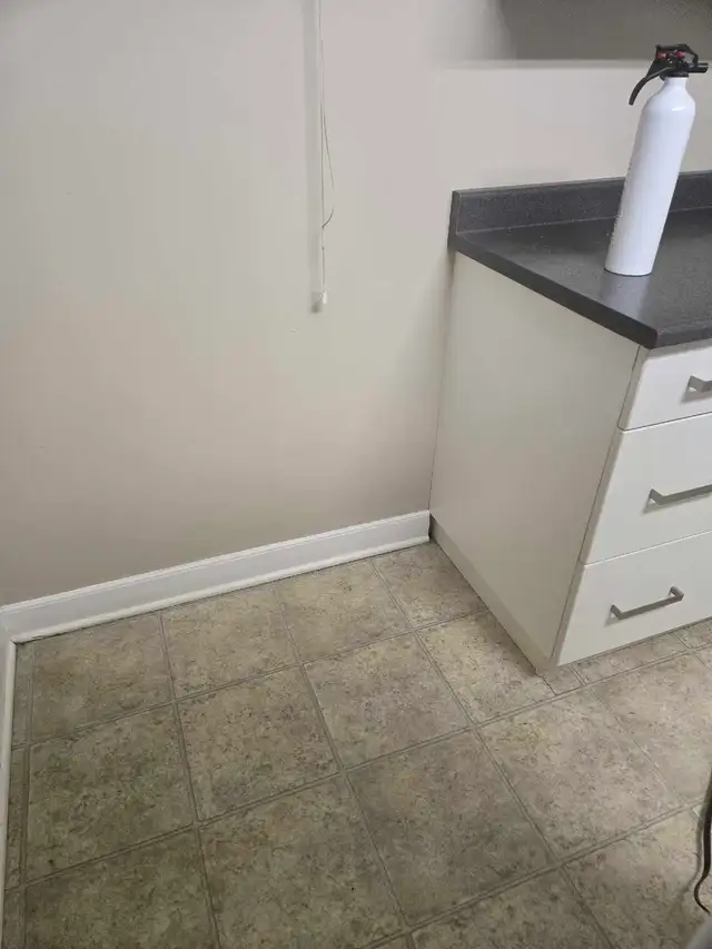 Cleaning515340100521185283