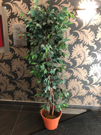 Fake tree plant. Silk?