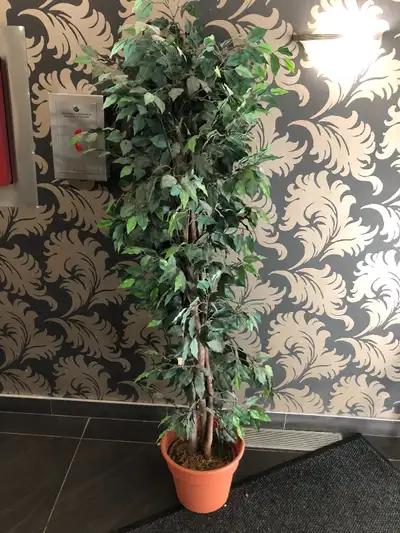 Fake tree plant. Silk?, View more
