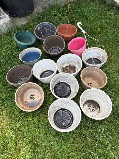 Pots de fleurs le tous pour 10$ Flower pots all for 10$