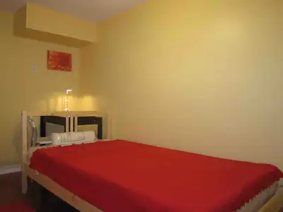 Furnished basement room 5 minutes walk from Dundas West subway station available starting from 1st o...