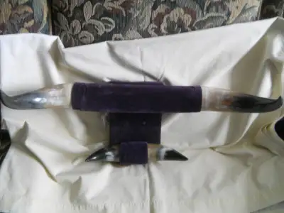 Double Steer Horns Mounted, View more