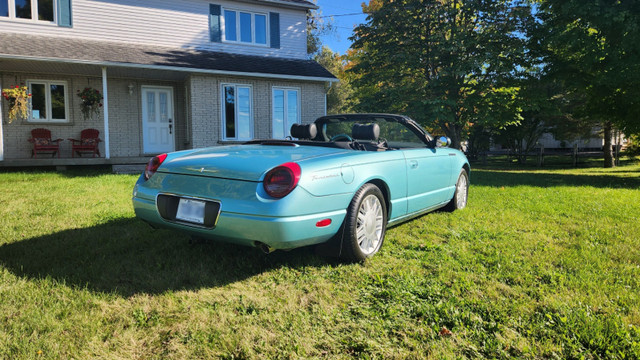 Ford Thunderbird 2002 dans Autos et camions  à Saint-Jean-sur-Richelieu - Image 3