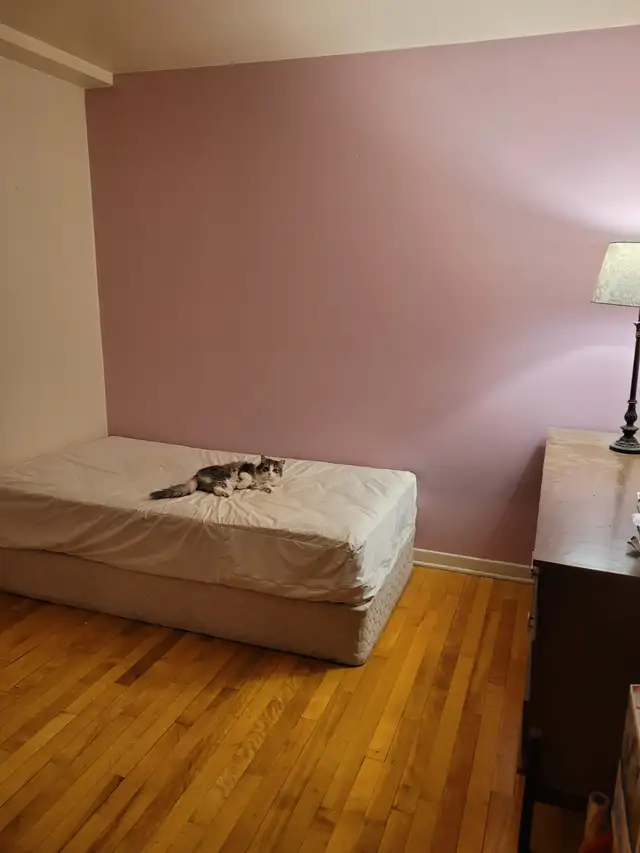 Chambre tout inclus 760$