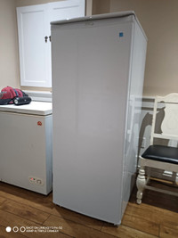 Danby stand up freezer