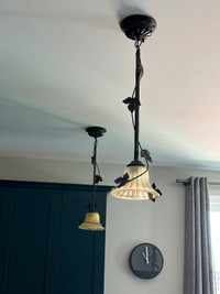 2 Pendant Lights