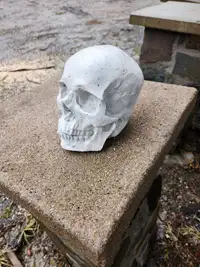Concrete skull 