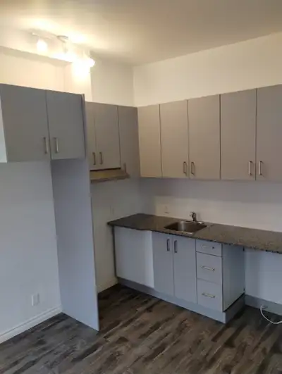 grand 3 1\2 centre-ville, air climatisé thermopompe 2e étage prêt d'un parc, 10 min. du port de Troi...