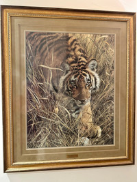 "Tall Grass Tiger" print 434/950 by Carl Brenders