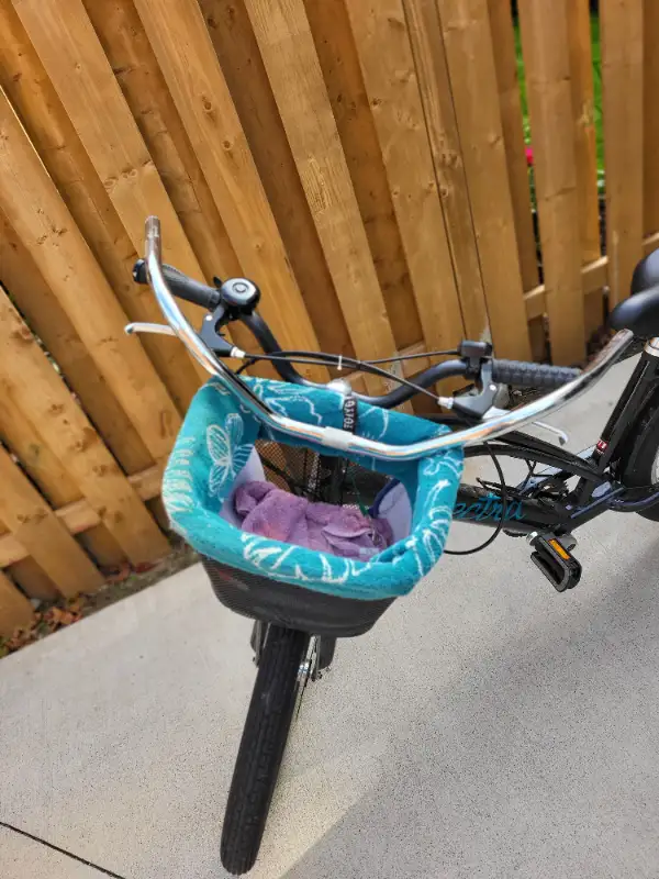 Electra Go Cruiser E-Bike in eBike in City of Toronto - Image 7