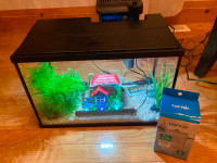 Top Fin 5 gallon aquarium kit with accessories