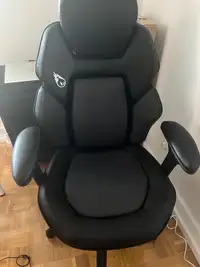 DPS Costco Gaming Chair