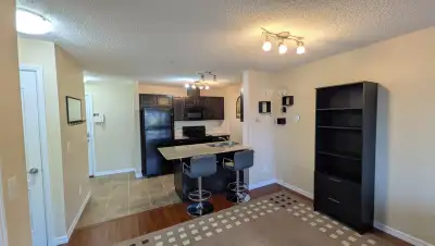 1 Bedroom + Den Apartment for Rent – Available Nov 1, 2025 Well-maintained 1 Bed + Den condo on the...