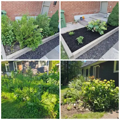 Summer is here, and maintaining a beautiful space can be overwhelming. I'd be happy to help. All pho...