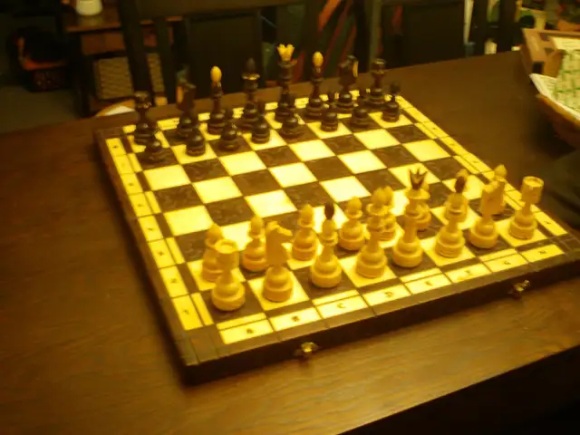 chess sets65048391989890121