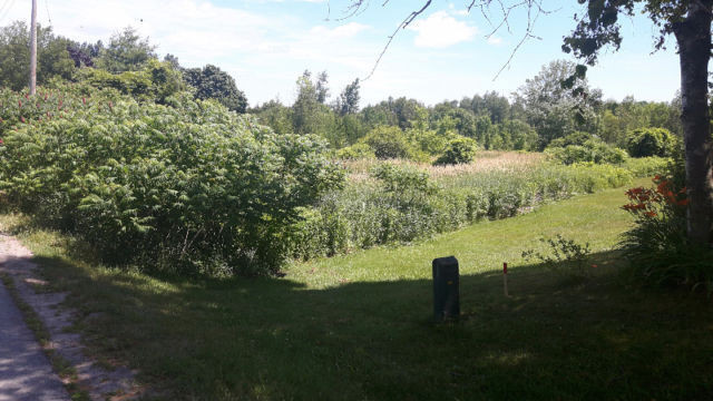 Vacant Land in Port Hope near Lakeshore and Townline.Lot# 279 in Land for Sale in Oshawa / Durham Region - Image 4