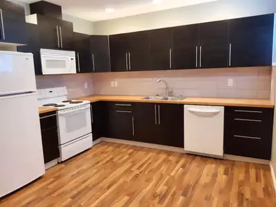 1 Bedroom 1 bathroom Basement suite Available March 15, 2026 $1600 per month All utilities included...