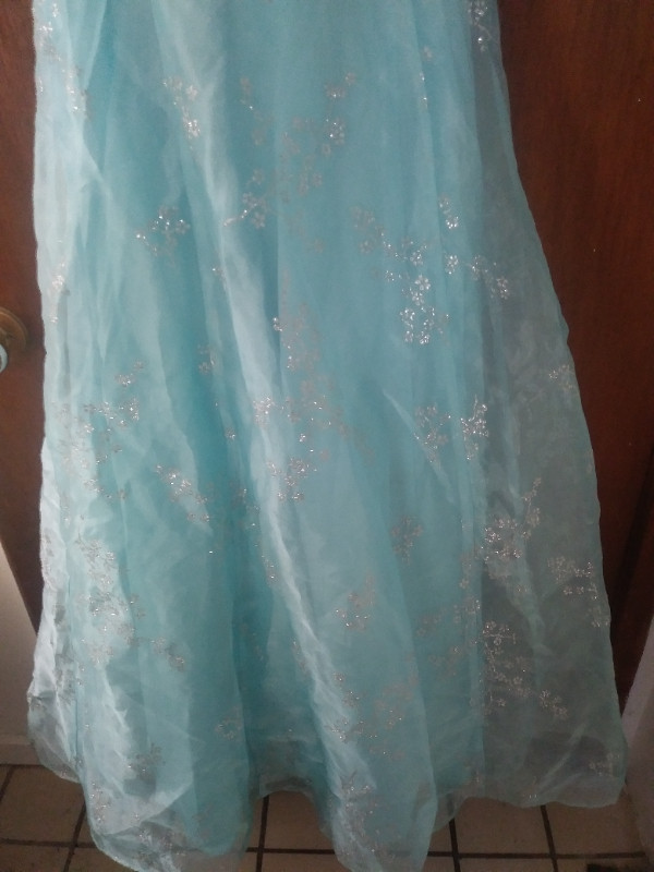 Lady's Prom dress in Women's - Dresses & Skirts in Bridgewater - Image 3