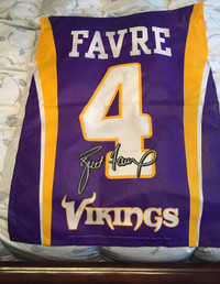 Minnesota Vikings Banners and Collectibles