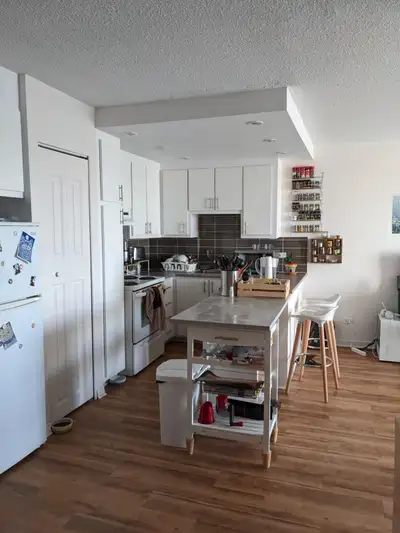 2 bedroom, 2 bathroom apartment
