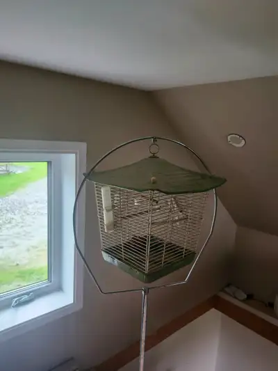 Cage oiseaux antique