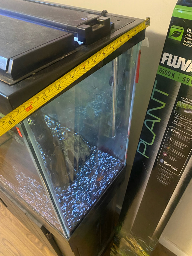 40 Gallon Fish Tank  in Other in Calgary - Image 4