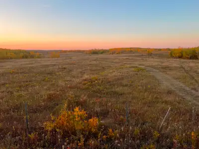 80 Acres Standing Hat to Cut, Crop, or raise Cattle