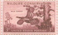 Wild Turkey US stamp 1950's - 3 cent - unused - block of 50