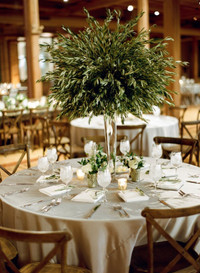 Wedding and Event Rental Inventory for Sale