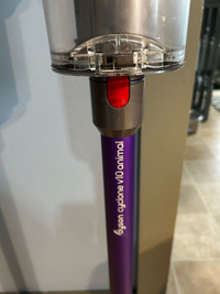 Dyson V10Animal