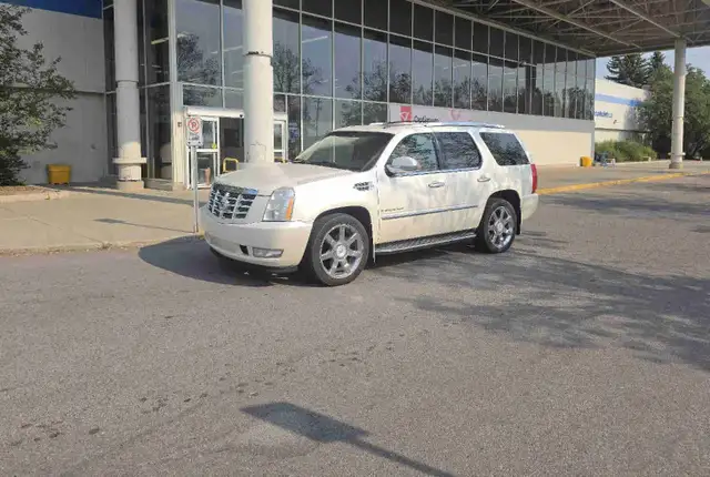 cleanest one owner escalade 