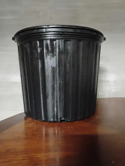 Plastic nursery pots 7galon , View more