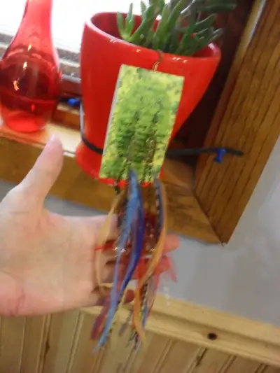 Purchased at an Expo Show, you can put essential oil in them. The purchase price was $80, but never...