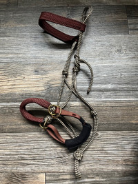 Bitless bridle with lines