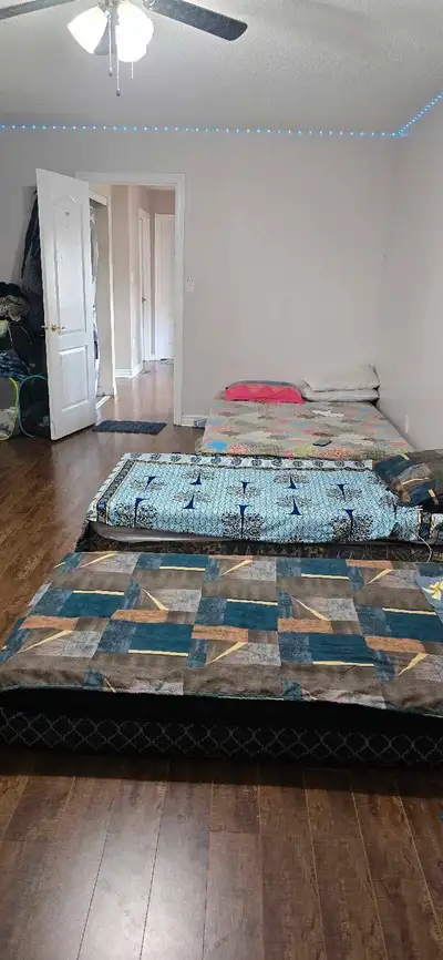 1 Bed 1 Bath - House
