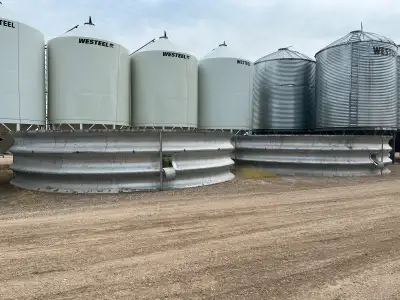 Two Bin rings hold approximately 5500 bushels each, new tarps come with the rings. 306-631-6226