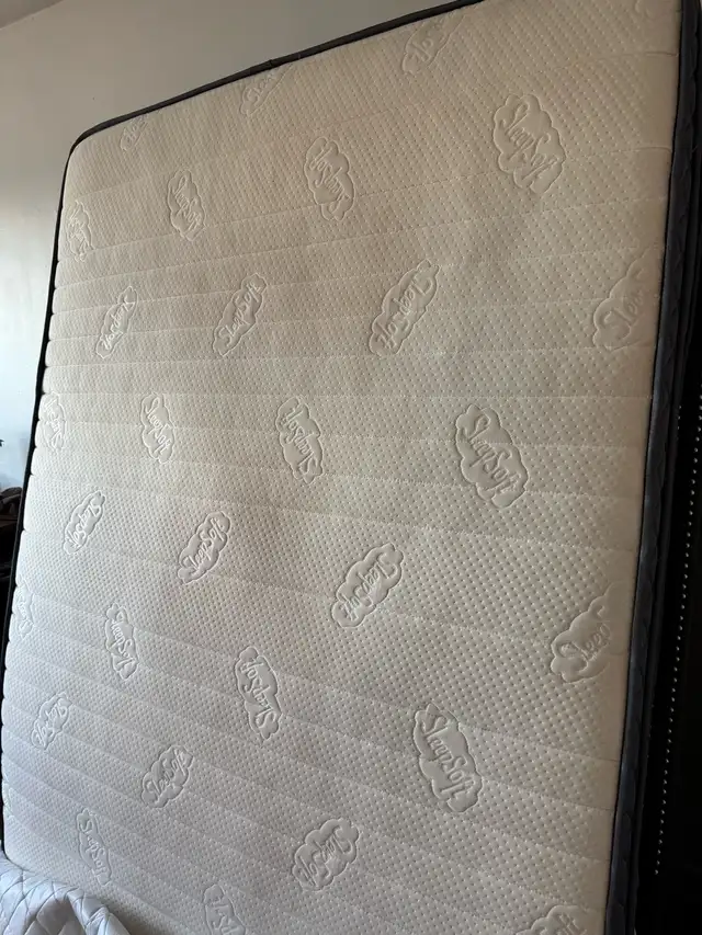 Base de lit et Matelas Queen  et Tv 40pouces in Beds & Mattresses in City of Montréal - Image 2