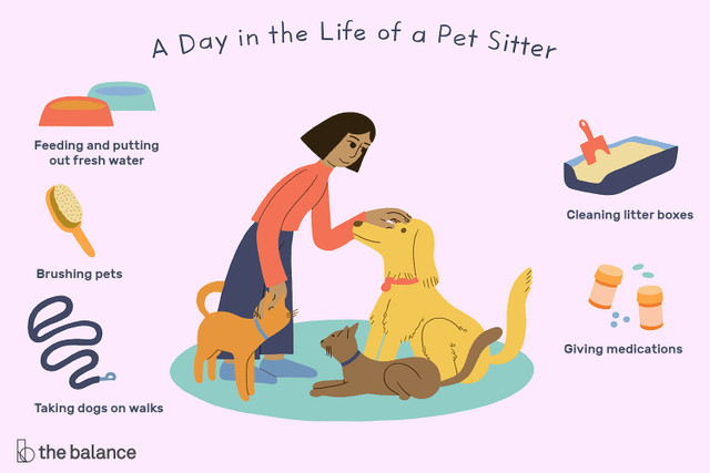 Pet sitter  in Animal & Pet Services in Annapolis Valley