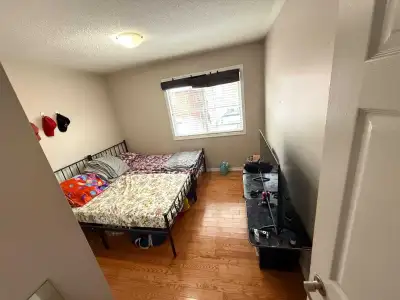 Private 800 Sharing 450 Parking available Furnished room All amenities is nearby - TTC, Restaurant's...