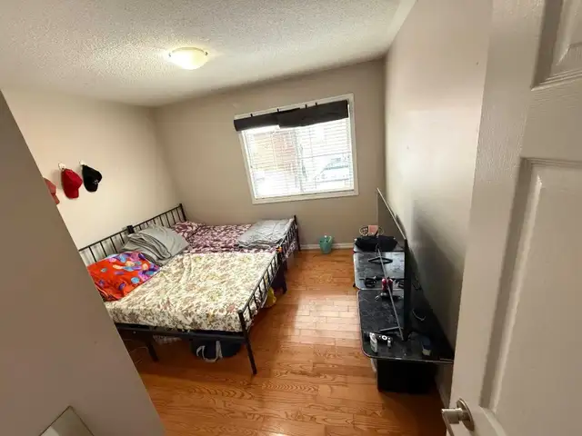 Sharing & private room for rent in Scarborough