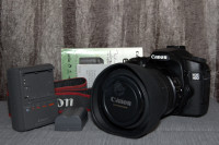 Canon 40D with 17-85mm lens