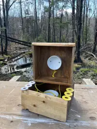 Washer Toss Game (Live Edge)