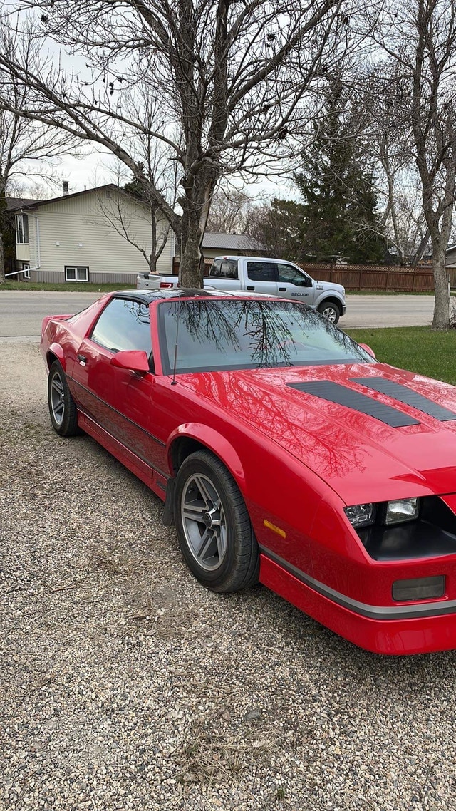 1987 Camaro Iroc Classic Cars Regina Kijiji