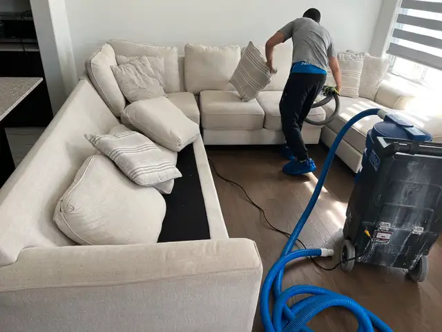 Carpet and couches and mattresses cleaning 63793687254913123