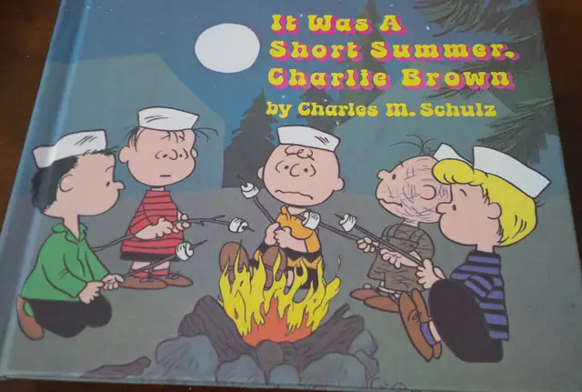 5 Charlie Brown Books, Pull Toy Snoopy & Woodstock in Other in Kitchener / Waterloo - Image 9